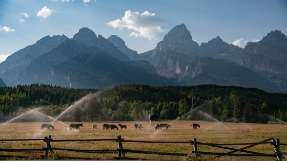 Grand Teton National Park