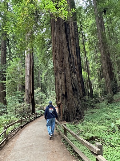 Muir Woods National Monument