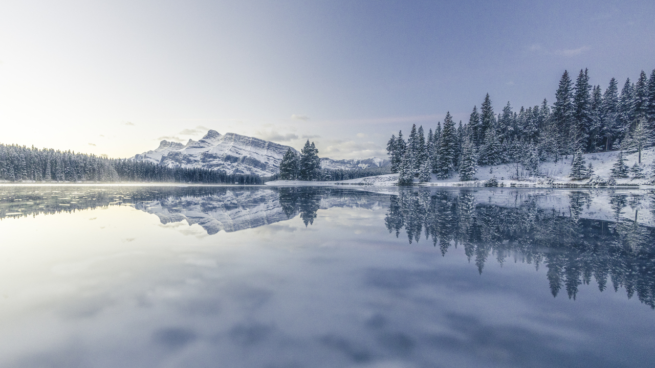 Winter Reflection