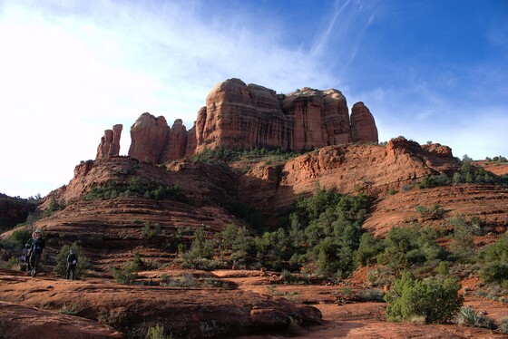Coconino National Forest