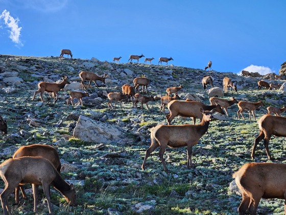 Rocky Mountain National Park