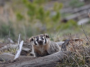 North Sand Hills Recreation Area