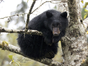 Watching the World go by