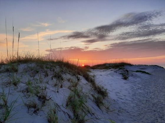 Cumberland Island National Seashore