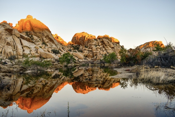 Joshua Tree National Park