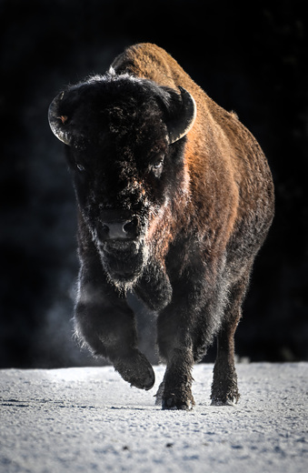Yellowstone National Park