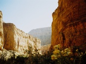 Grand Canyon National Park