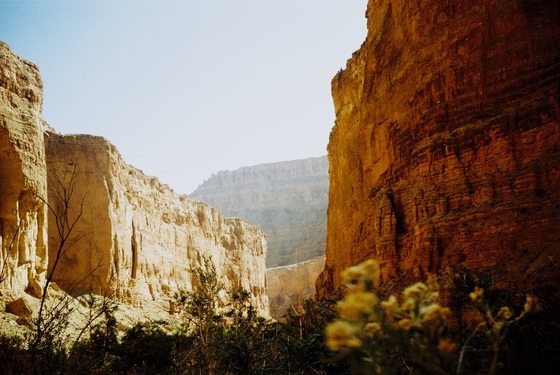 Grand Canyon National Park