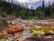 Lassen Volcanic National Park
