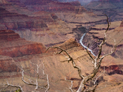 Grand Canyon National Park