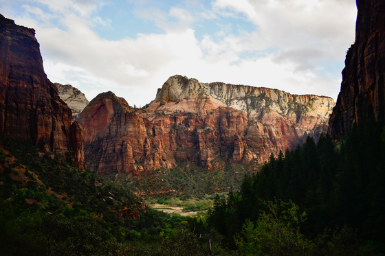 Zion National Park