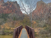 Zion National Park 