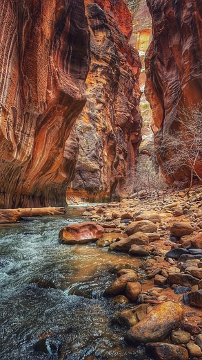 Zion National Park