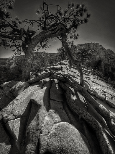 Zion National Park 