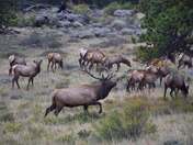 Rocky Mountain National Park