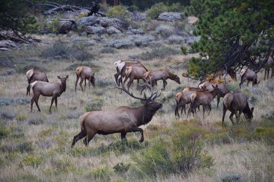 Rocky Mountain National Park