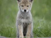 Grand Teton National Park