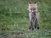 Grand Teton National Park