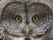 Grand Teton National Park