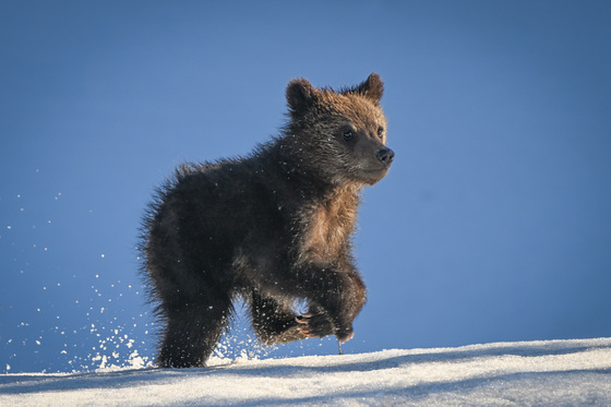 Grand Teton National Park