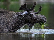 Grand Teton National Park