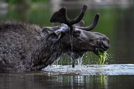 Grand Teton National Park