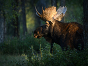 Grand Teton National Park