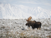 Grand Teton National Park