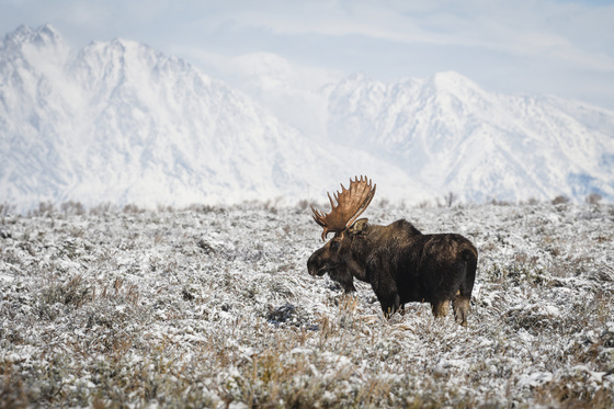 Grand Teton National Park