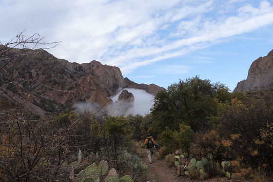 Big Bend National Park
