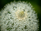 Glacier National Park