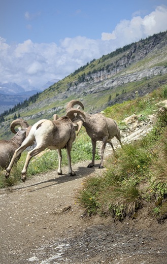 Glacier National Park