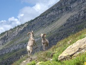 Glacier National Park