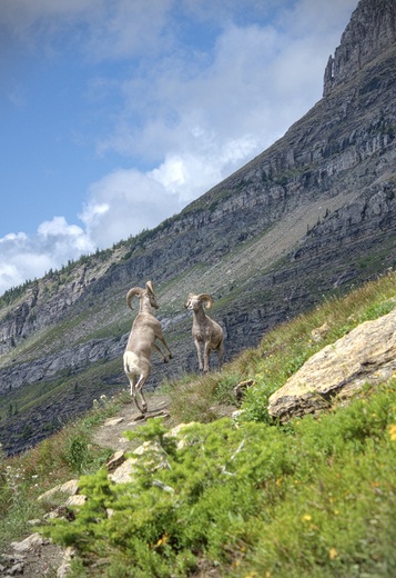 Glacier National Park