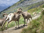 Glacier National Park