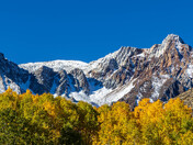 Inyo National Forest