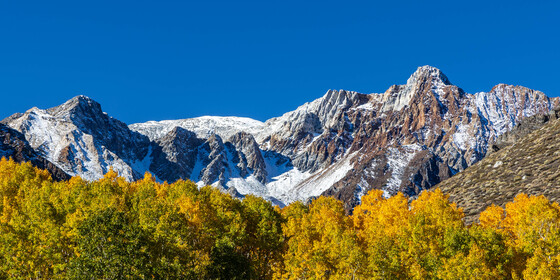 Inyo National Forest