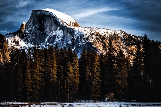 Yosemite National Park