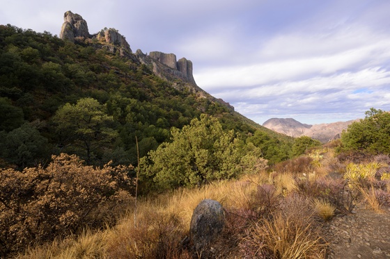 Big Bend National Park