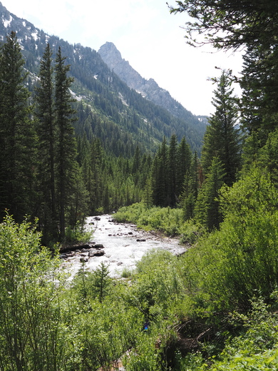 Grand Teton National Park