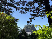 Olympic National Park