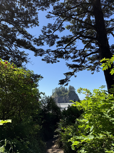 Olympic National Park
