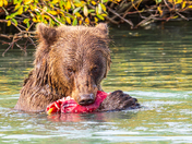 Lake Clark National Park