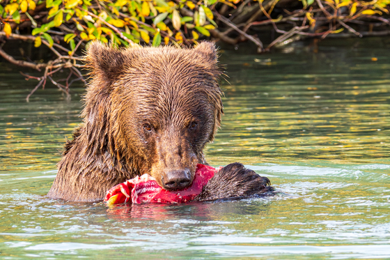 Lake Clark National Park