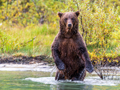 Lake Clark National Park
