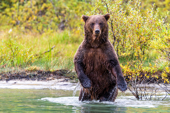 Lake Clark National Park