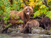 Lake Clark National Park