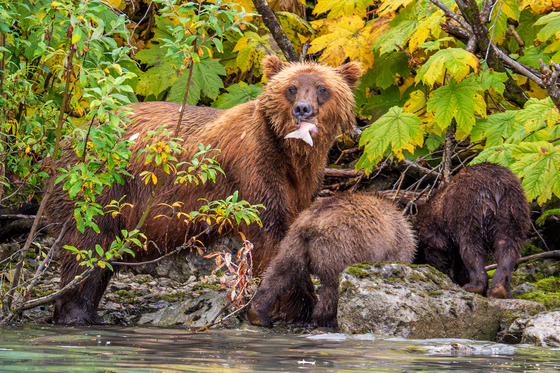 Lake Clark National Park