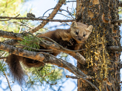 Grand Teton National Park