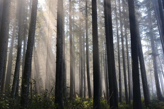 Olympic National Park